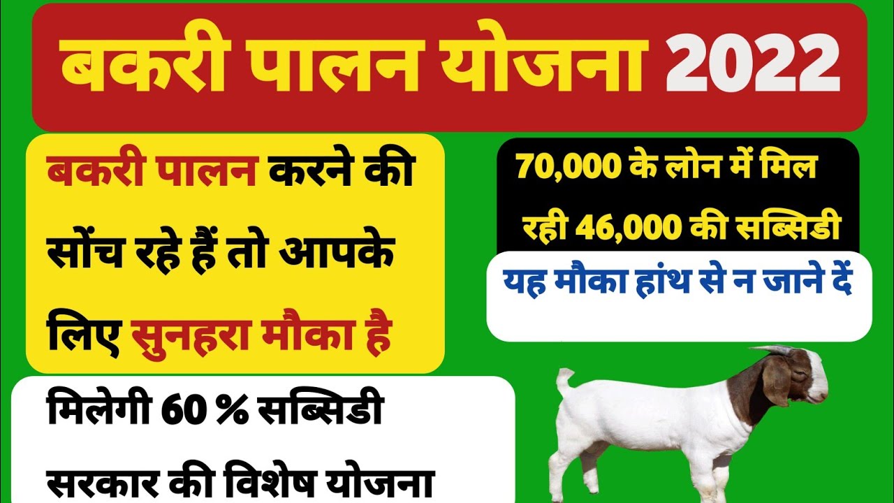 Goat Farming Loan Yojana